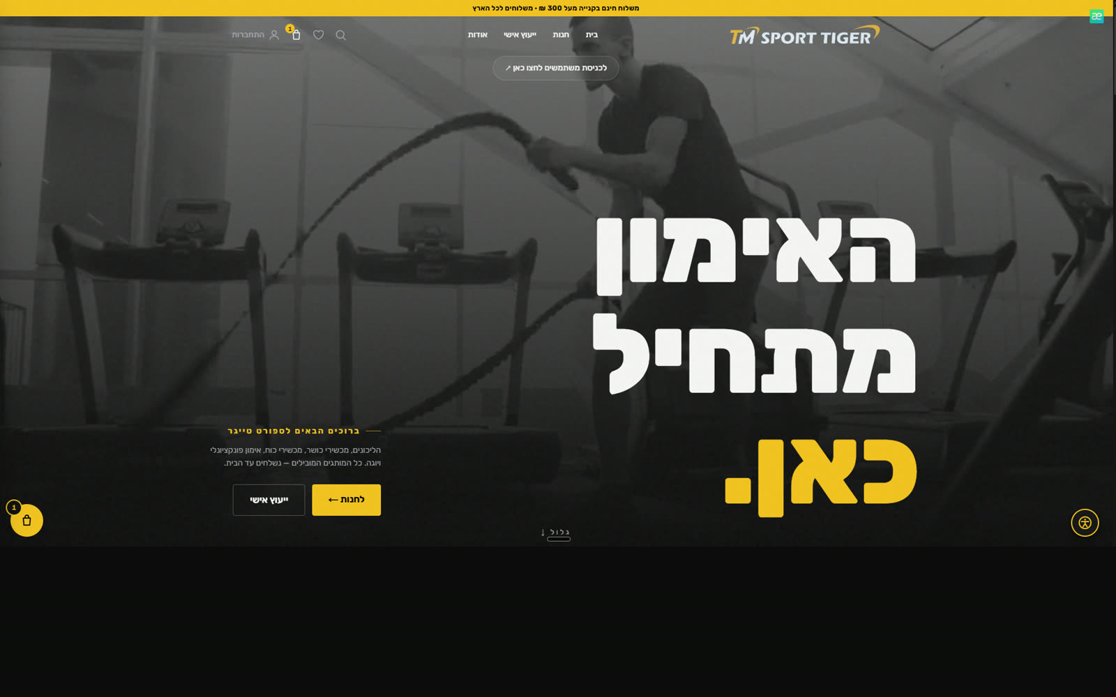 Tiger Sport preview